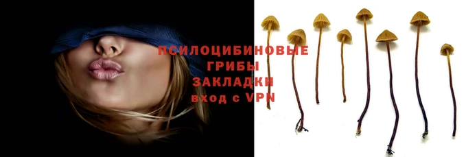 бутик Бородино