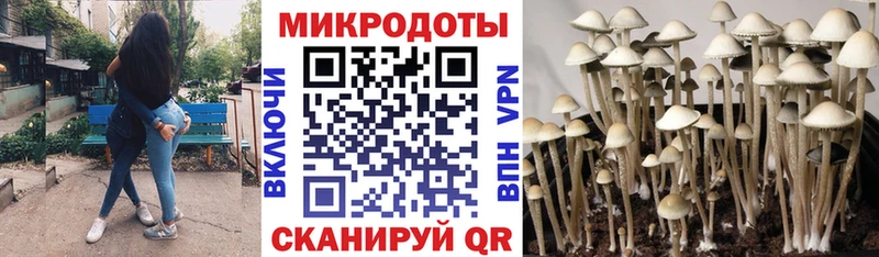 Псилоцибиновые грибы ЛСД МЕГА ССЫЛКА Киров